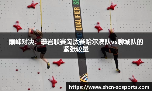 中欧体育公司