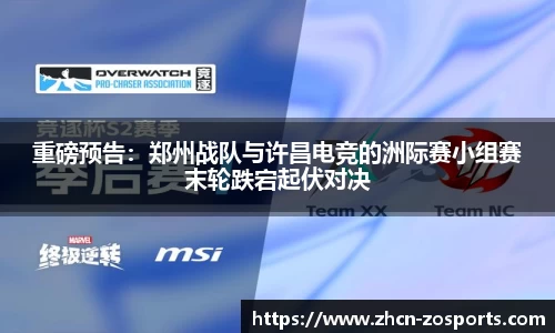 中欧体育公司